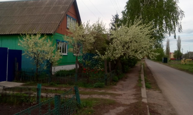 «Не погаснет звезда милосердия»